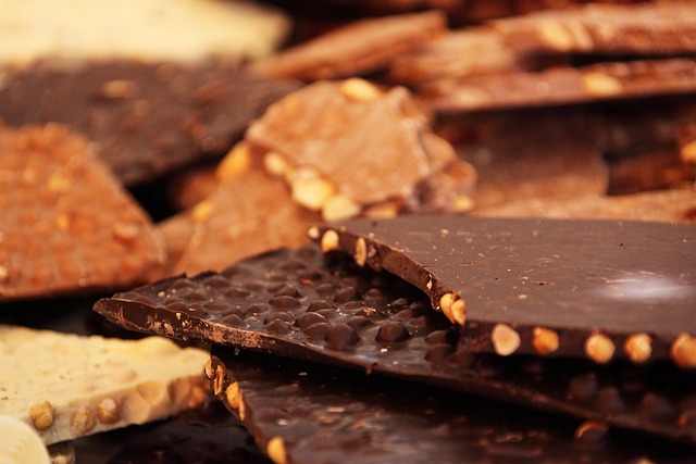 Can Birds Eat Chocolate? Why It's Toxic to All Birds