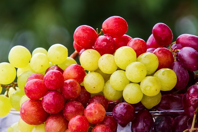 Can Birds Eat Grapes? A Sweet Treat in Moderation