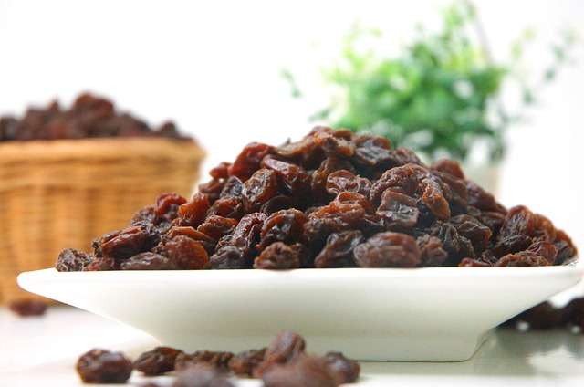 Can Birds Eat Raisins? Yes