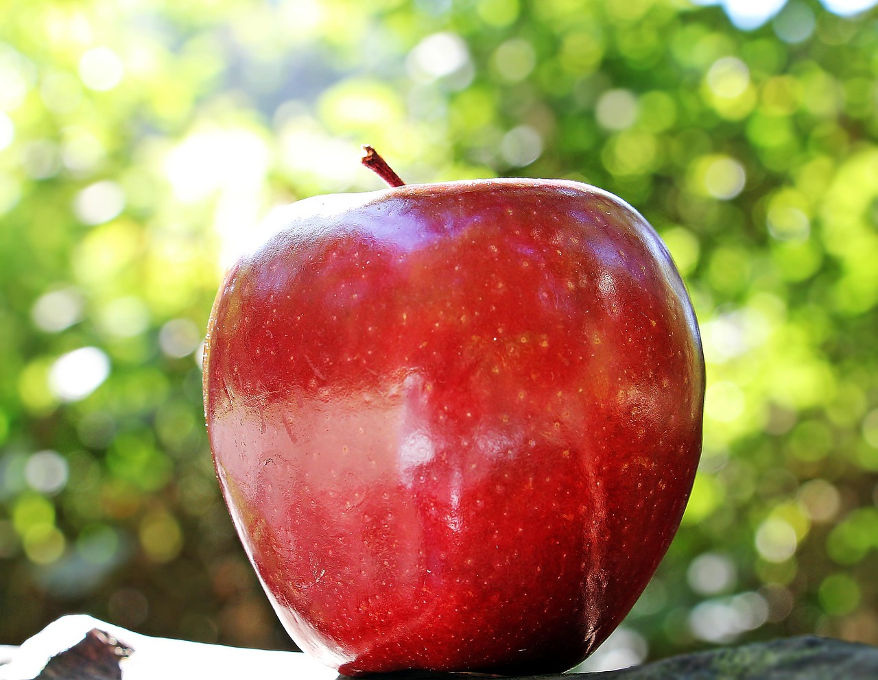 Can Chickens Eat Apples? Safe Parts & How to Feed
