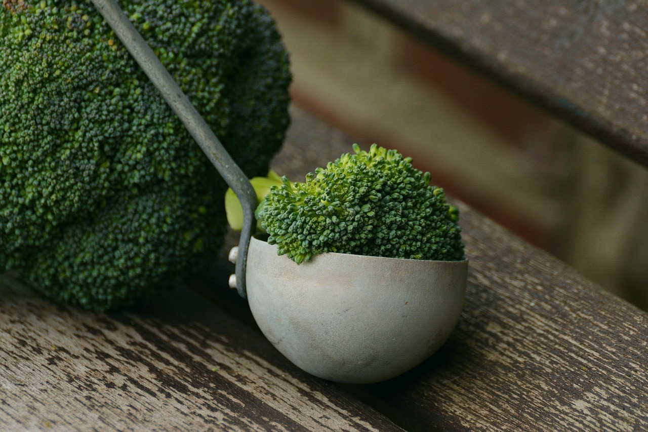 Can Chickens Eat Broccoli? (Yes