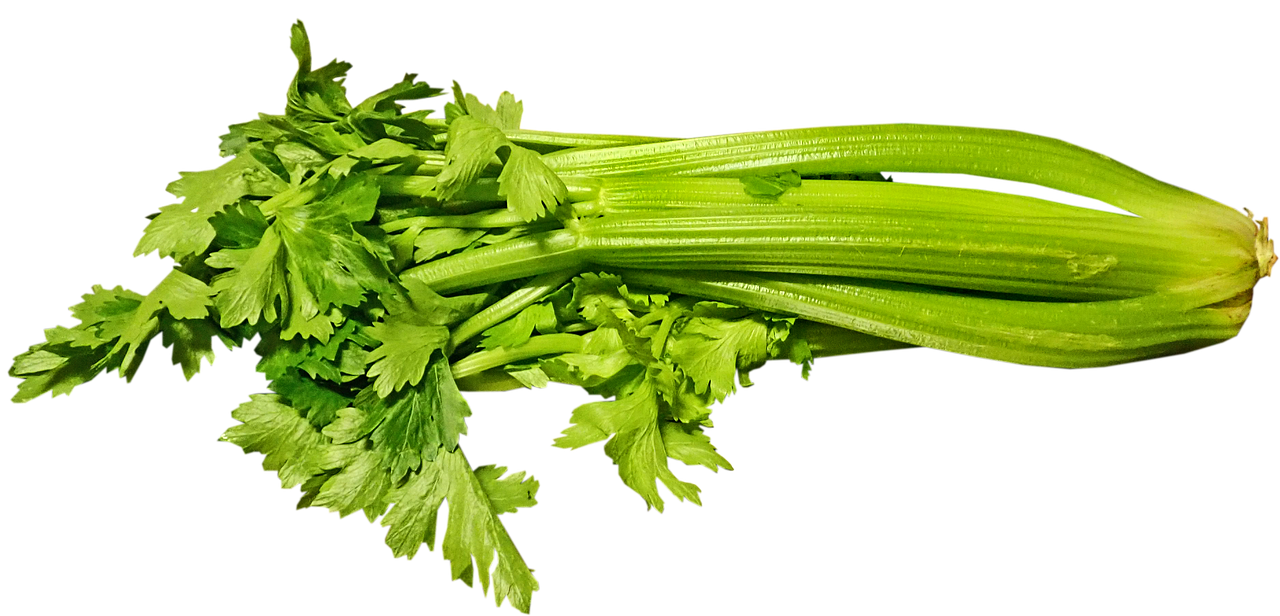 Can Chickens Eat Celery? Safe Feeding & Chopping Tips