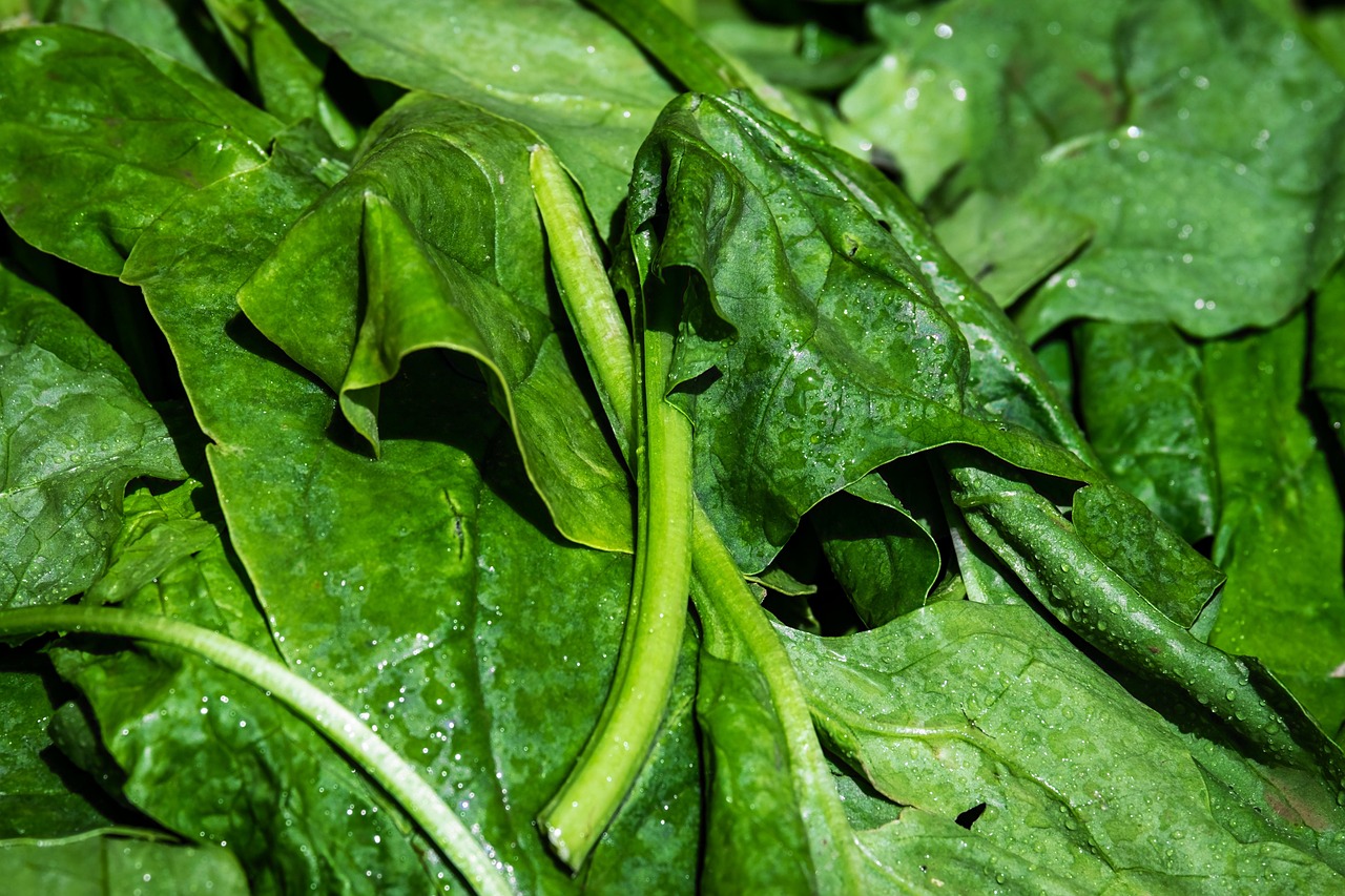 Can Chickens Eat Spinach? (Yes
