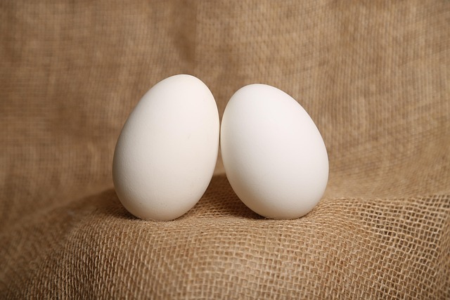 Do Ducks Lay Eggs? Duck Laying Habits Explained