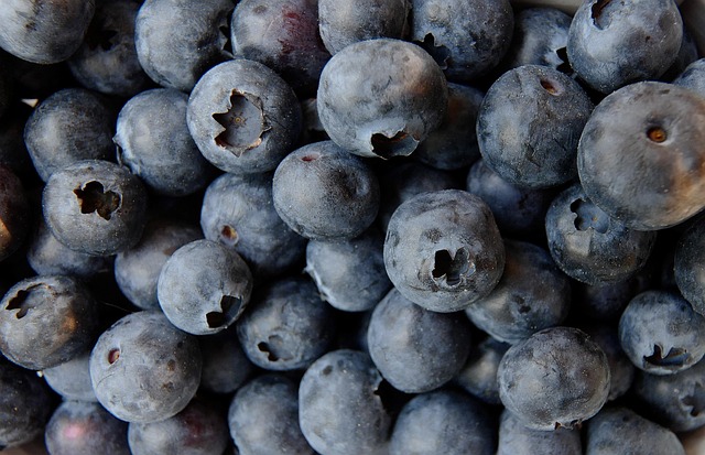 Can Budgies Eat Blueberries? (In moderation) | Budgie Food List