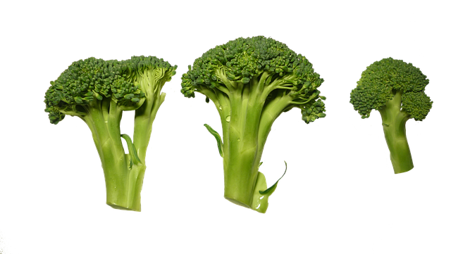 Can Budgies Eat Broccoli? (Safe) | Budgie Food List