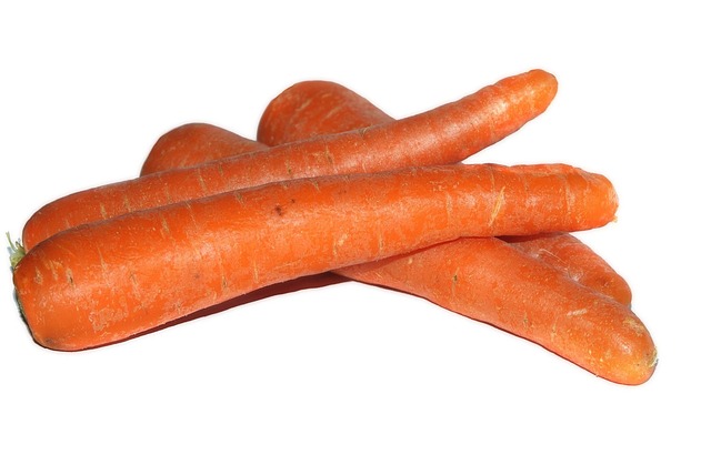 Can Budgies Eat Carrot? (Safe) | Budgie Food List