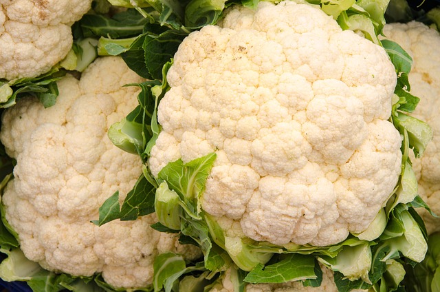 Can Budgies Eat Cauliflower? (Safe) | Budgie Food List
