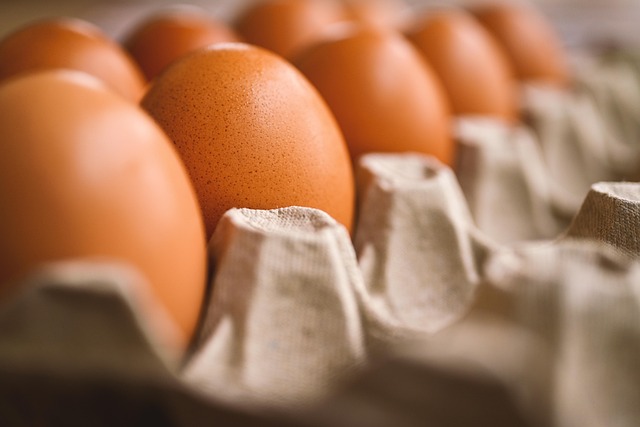 Can Budgies Eat Cooked Egg? (In moderation) | Budgie Food List