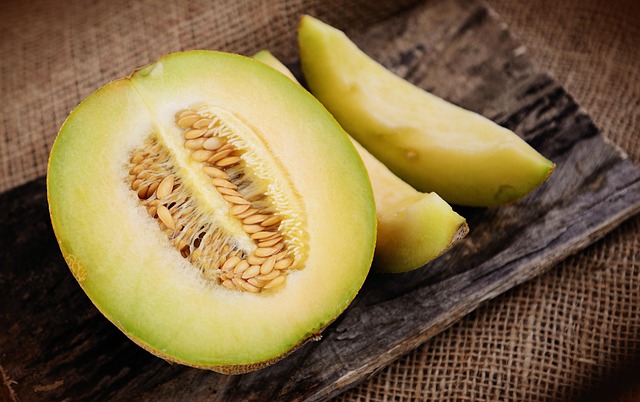 Can Budgies Eat Melon? (In moderation) | Budgie Food List