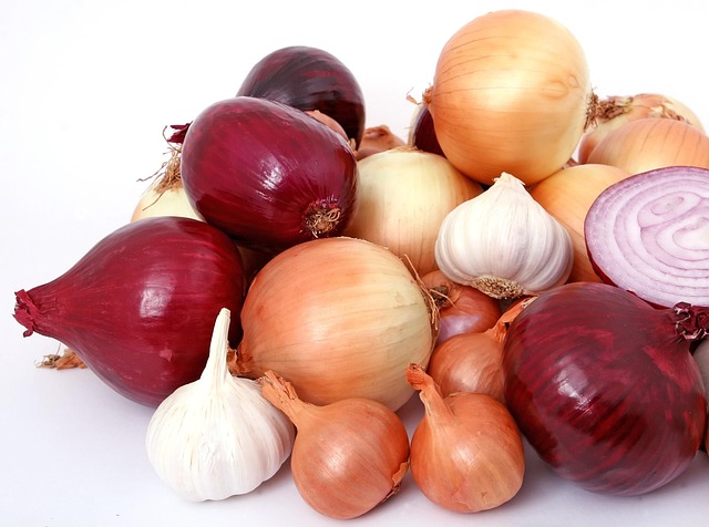 Can Budgies Eat Onion? (Never) | Budgie Food List