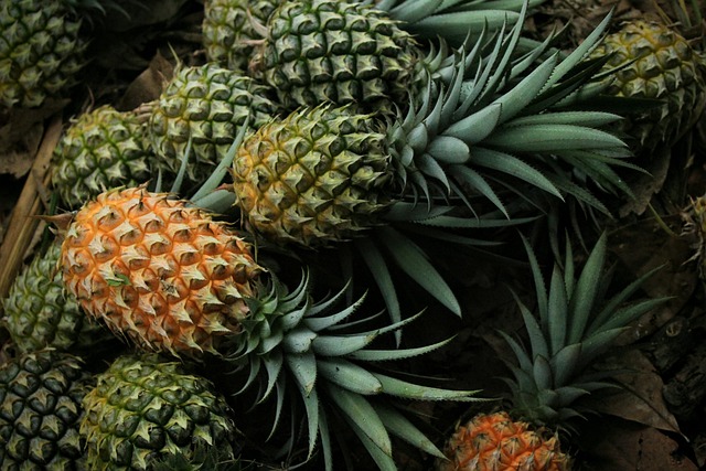 Can Budgies Eat Pineapple? (In moderation) | Budgie Food List