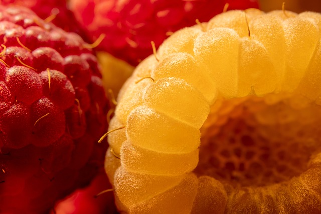 Can Budgies Eat Raspberries? (In moderation) | Budgie Food List