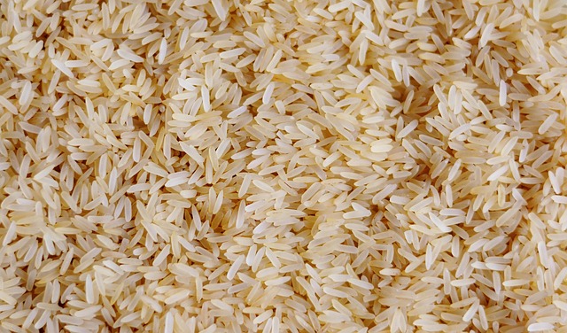 Can Budgies Eat Rice? (In moderation) | Budgie Food List