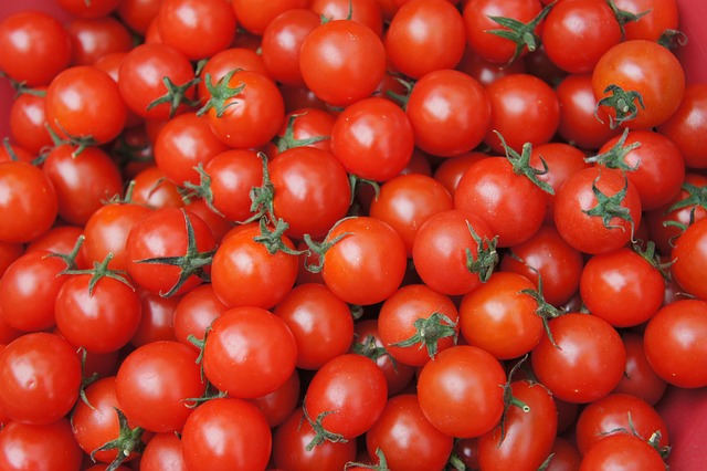 Can Budgies Eat Tomato? (In moderation) | Budgie Food List